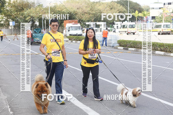 Buy your photos of the eventCorrida Pet Finde on Fotop