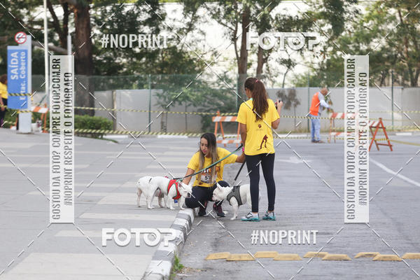 Buy your photos of the eventCorrida Pet Finde on Fotop