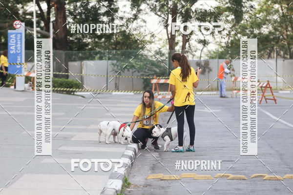 Buy your photos of the eventCorrida Pet Finde on Fotop