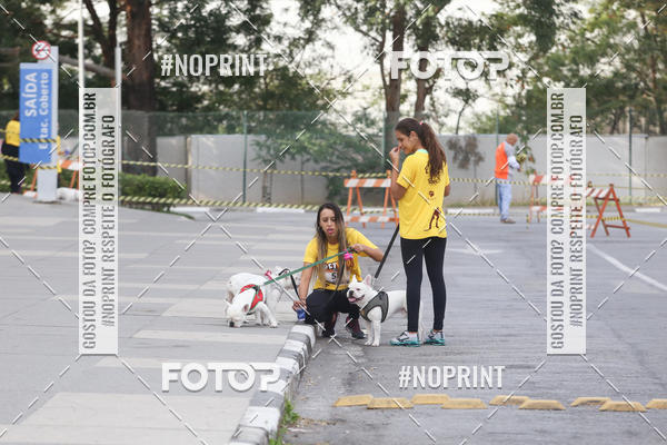 Buy your photos of the eventCorrida Pet Finde on Fotop