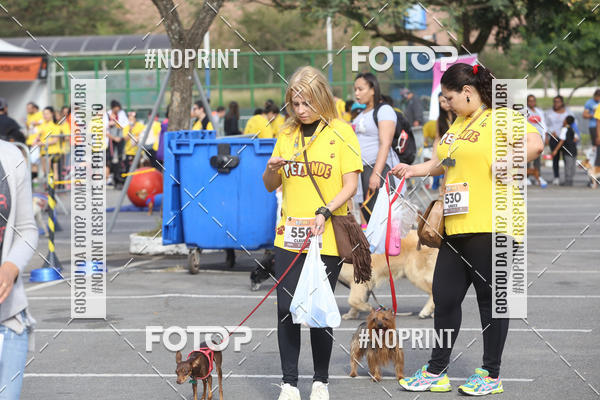 Buy your photos of the eventCorrida Pet Finde on Fotop