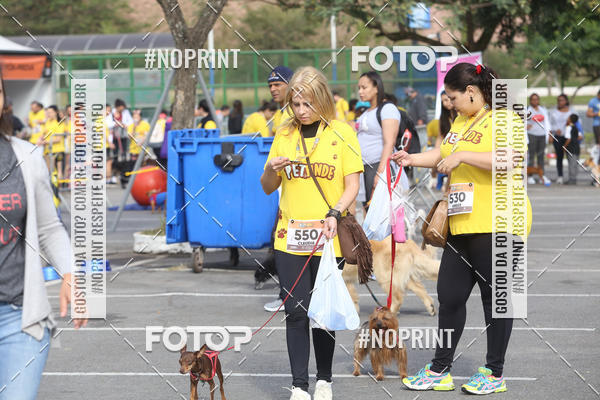 Buy your photos of the eventCorrida Pet Finde on Fotop