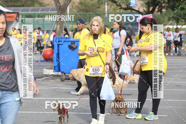 Buy your photos of the eventCorrida Pet Finde on Fotop