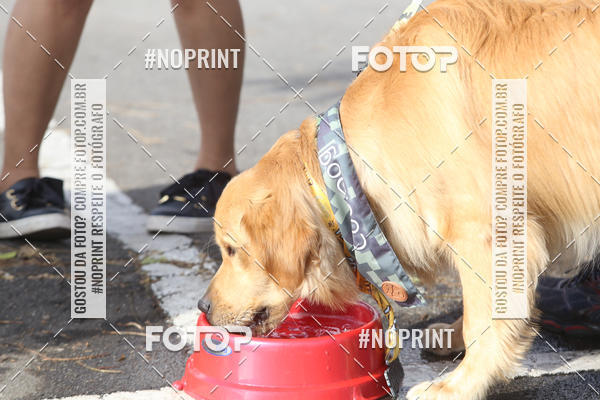 Buy your photos of the eventCorrida Pet Finde on Fotop