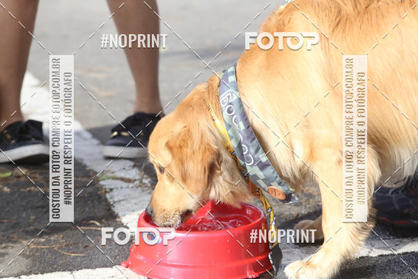 Buy your photos of the eventCorrida Pet Finde on Fotop