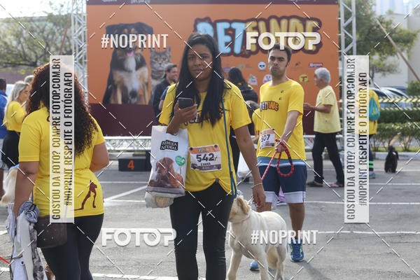 Buy your photos of the eventCorrida Pet Finde on Fotop