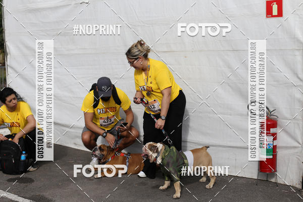 Buy your photos of the eventCorrida Pet Finde on Fotop