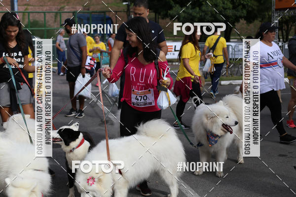 Buy your photos of the eventCorrida Pet Finde on Fotop