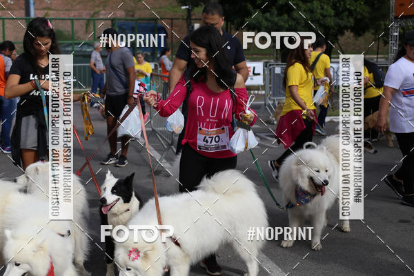 Buy your photos of the eventCorrida Pet Finde on Fotop