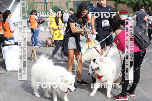 Buy your photos of the eventCorrida Pet Finde on Fotop
