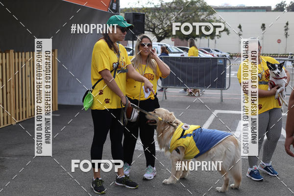 Buy your photos of the eventCorrida Pet Finde on Fotop