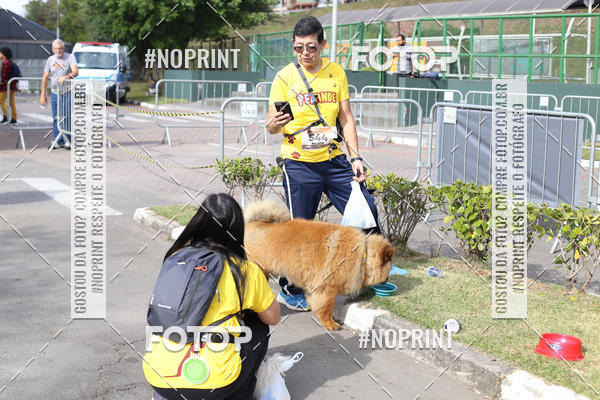 Buy your photos of the eventCorrida Pet Finde on Fotop