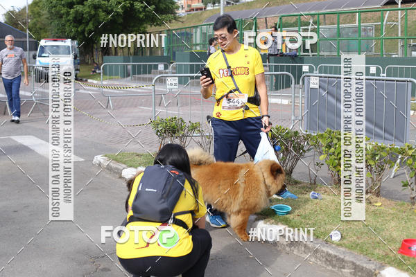 Buy your photos of the eventCorrida Pet Finde on Fotop