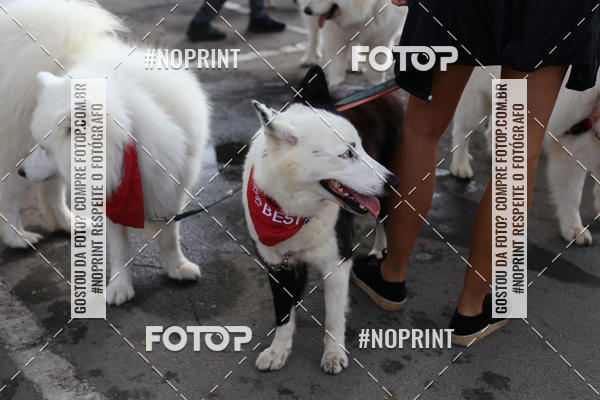 Buy your photos of the eventCorrida Pet Finde on Fotop