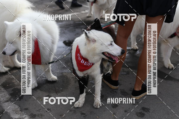Buy your photos of the eventCorrida Pet Finde on Fotop