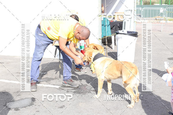 Buy your photos of the eventCorrida Pet Finde on Fotop
