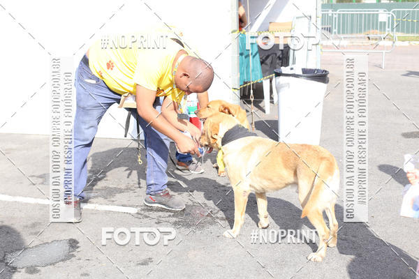 Buy your photos of the eventCorrida Pet Finde on Fotop