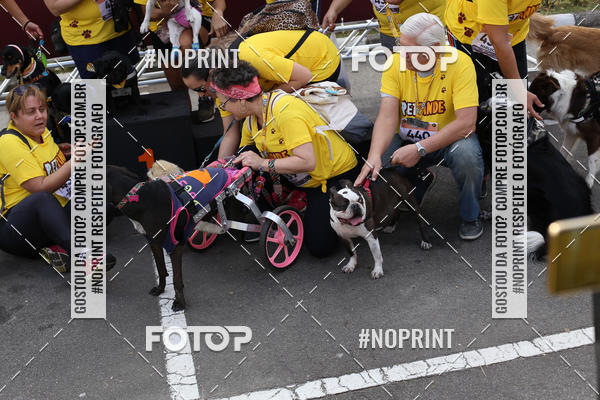 Buy your photos of the eventCorrida Pet Finde on Fotop