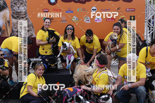 Buy your photos of the eventCorrida Pet Finde on Fotop