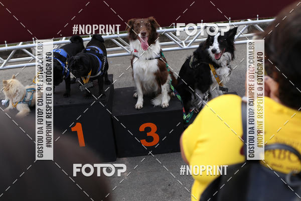 Buy your photos of the eventCorrida Pet Finde on Fotop