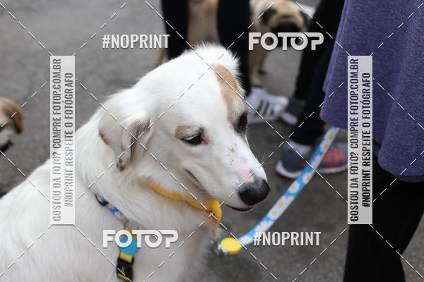 Buy your photos of the eventCorrida Pet Finde on Fotop