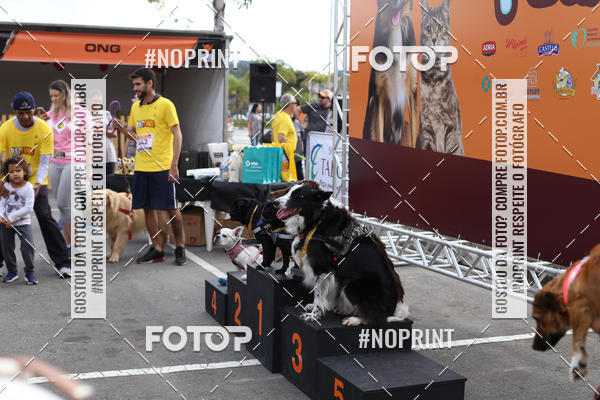 Buy your photos of the eventCorrida Pet Finde on Fotop