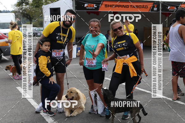 Buy your photos of the eventCorrida Pet Finde on Fotop