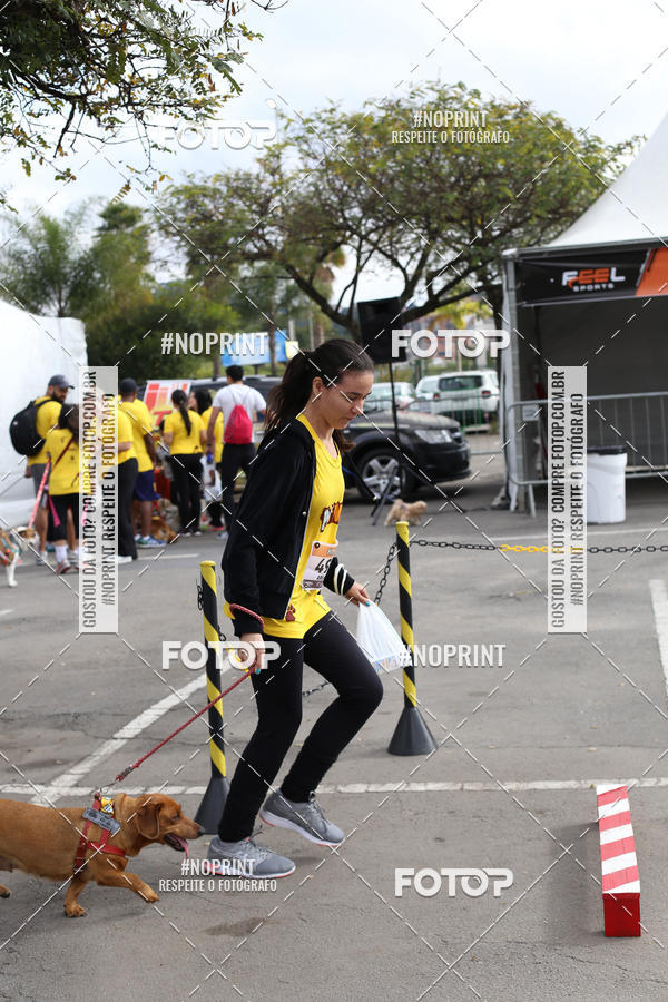 Buy your photos of the eventCorrida Pet Finde on Fotop