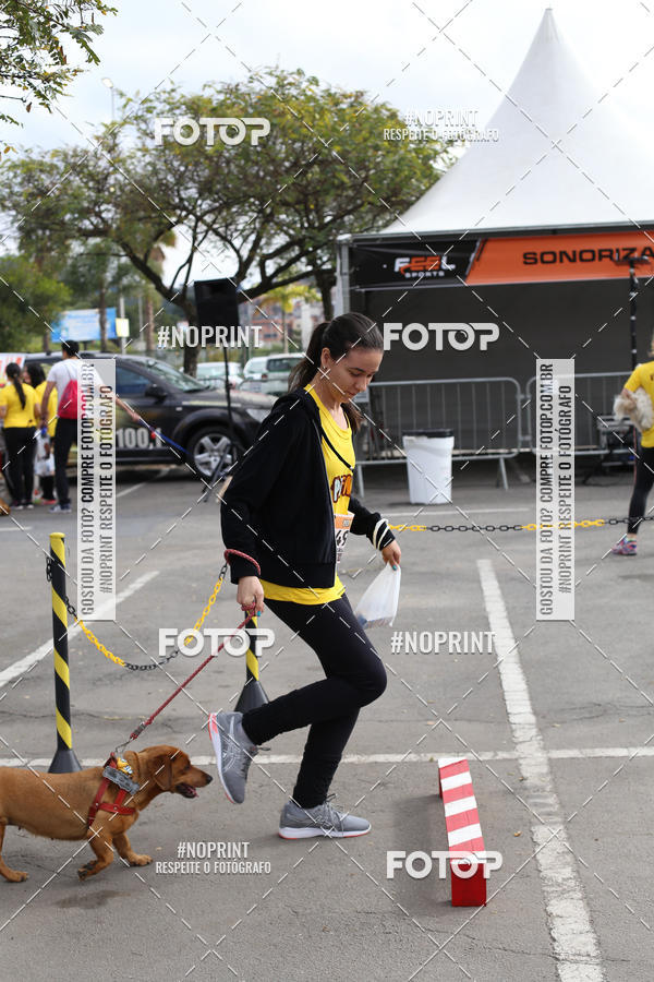 Buy your photos of the eventCorrida Pet Finde on Fotop