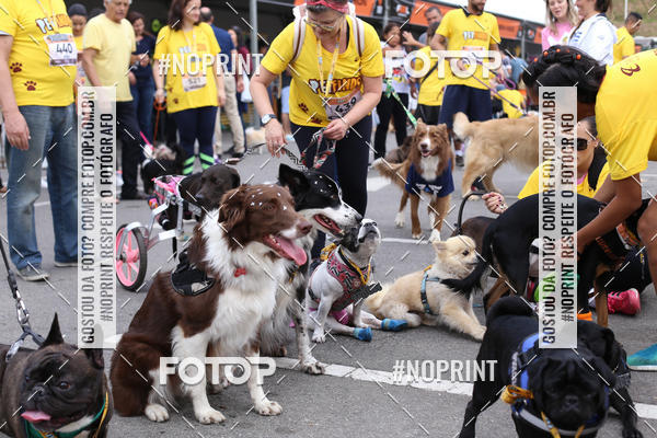 Buy your photos of the eventCorrida Pet Finde on Fotop