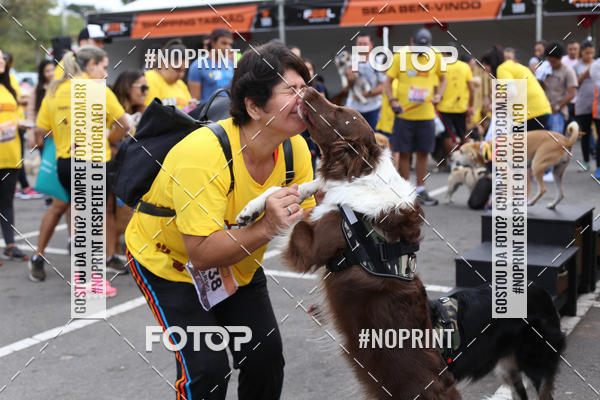 Buy your photos of the eventCorrida Pet Finde on Fotop