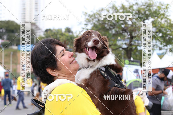 Buy your photos of the eventCorrida Pet Finde on Fotop