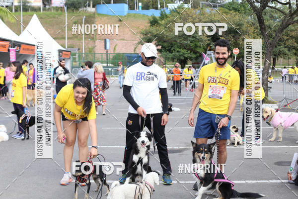 Buy your photos of the eventCorrida Pet Finde on Fotop