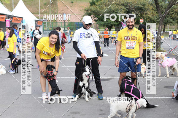Buy your photos of the eventCorrida Pet Finde on Fotop