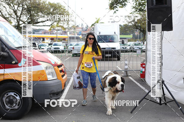 Buy your photos of the eventCorrida Pet Finde on Fotop