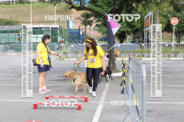 Buy your photos of the eventCorrida Pet Finde on Fotop
