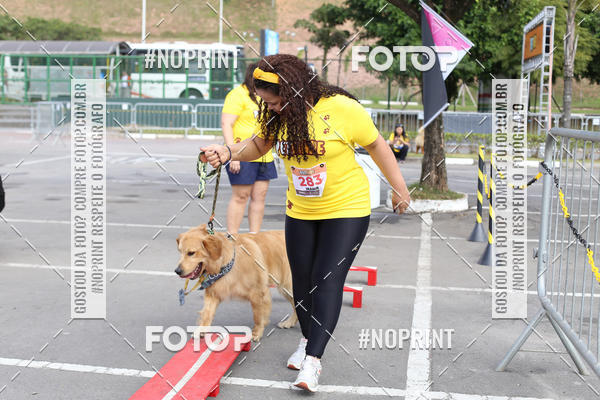 Buy your photos of the eventCorrida Pet Finde on Fotop
