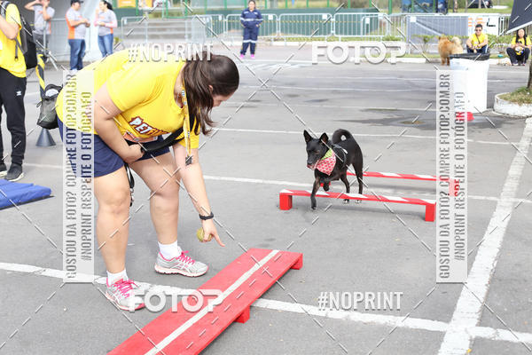 Buy your photos of the eventCorrida Pet Finde on Fotop