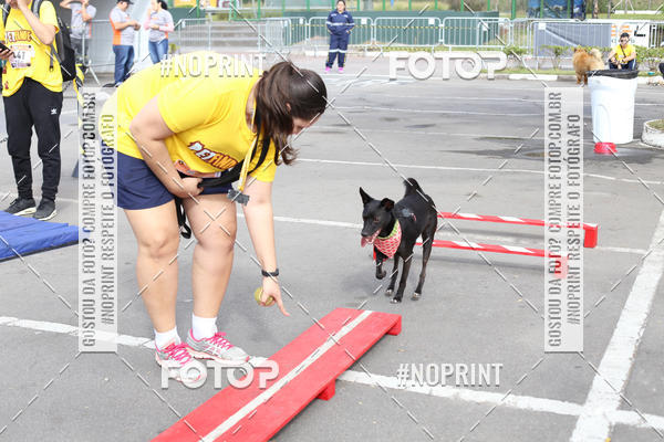Buy your photos of the eventCorrida Pet Finde on Fotop