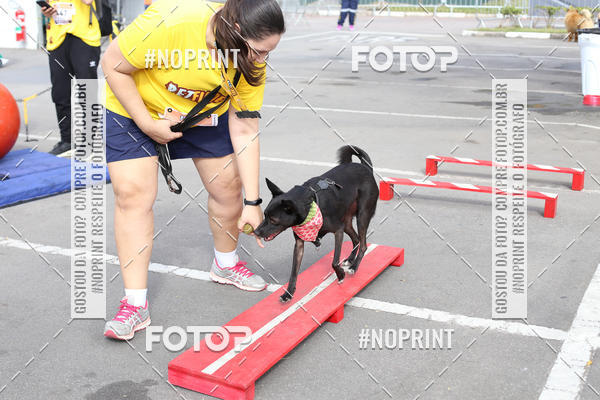 Buy your photos of the eventCorrida Pet Finde on Fotop