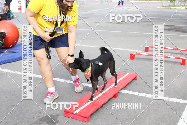 Buy your photos of the eventCorrida Pet Finde on Fotop