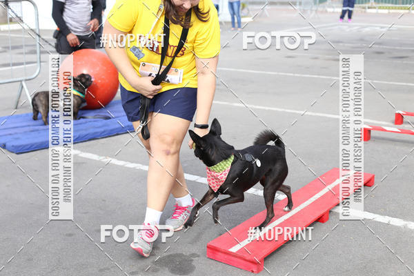 Buy your photos of the eventCorrida Pet Finde on Fotop