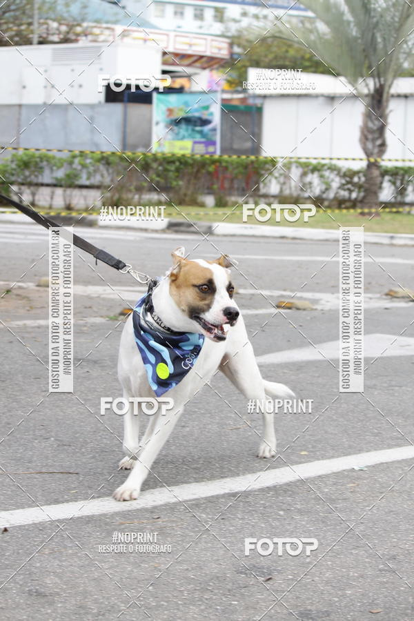 Buy your photos of the eventCorrida Pet Finde on Fotop
