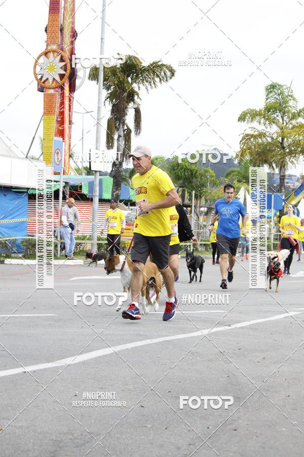 Buy your photos of the eventCorrida Pet Finde on Fotop