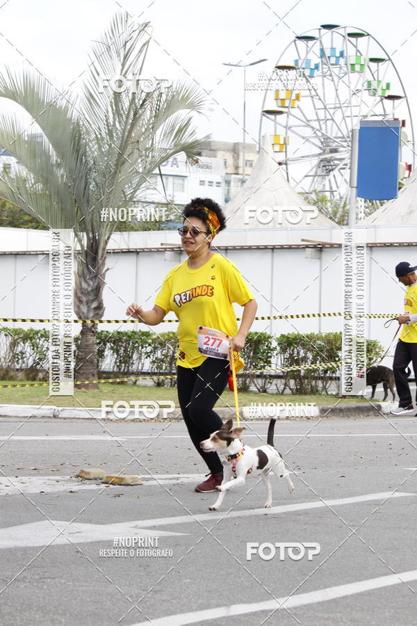 Buy your photos of the eventCorrida Pet Finde on Fotop