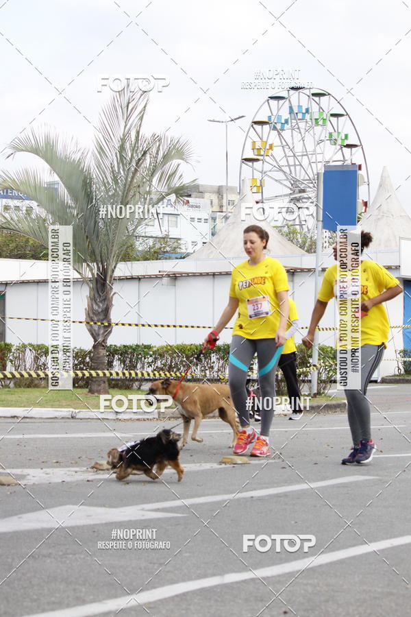Buy your photos of the eventCorrida Pet Finde on Fotop