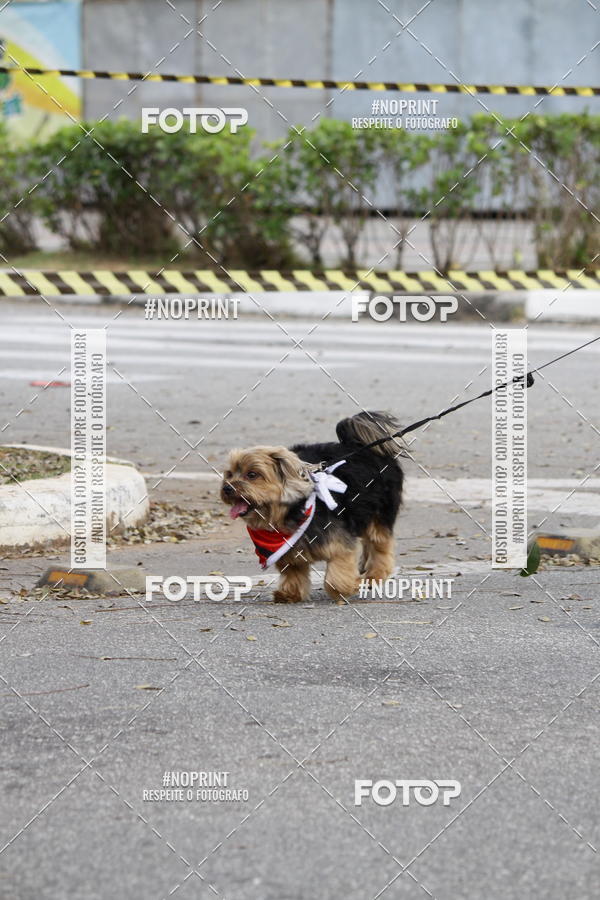 Buy your photos of the eventCorrida Pet Finde on Fotop