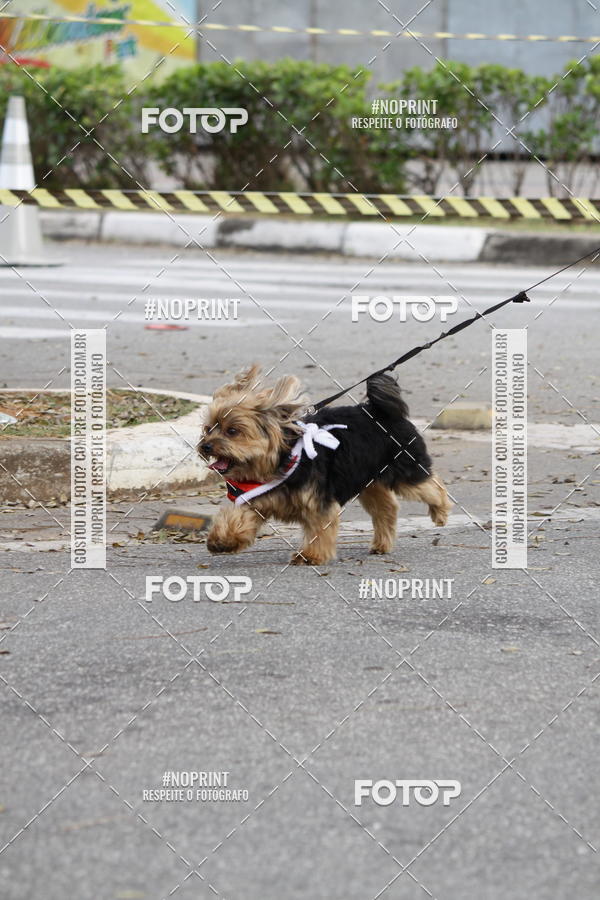 Buy your photos of the eventCorrida Pet Finde on Fotop