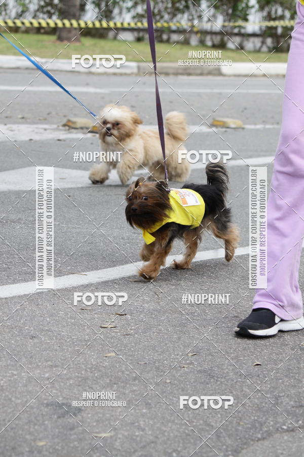 Buy your photos of the eventCorrida Pet Finde on Fotop