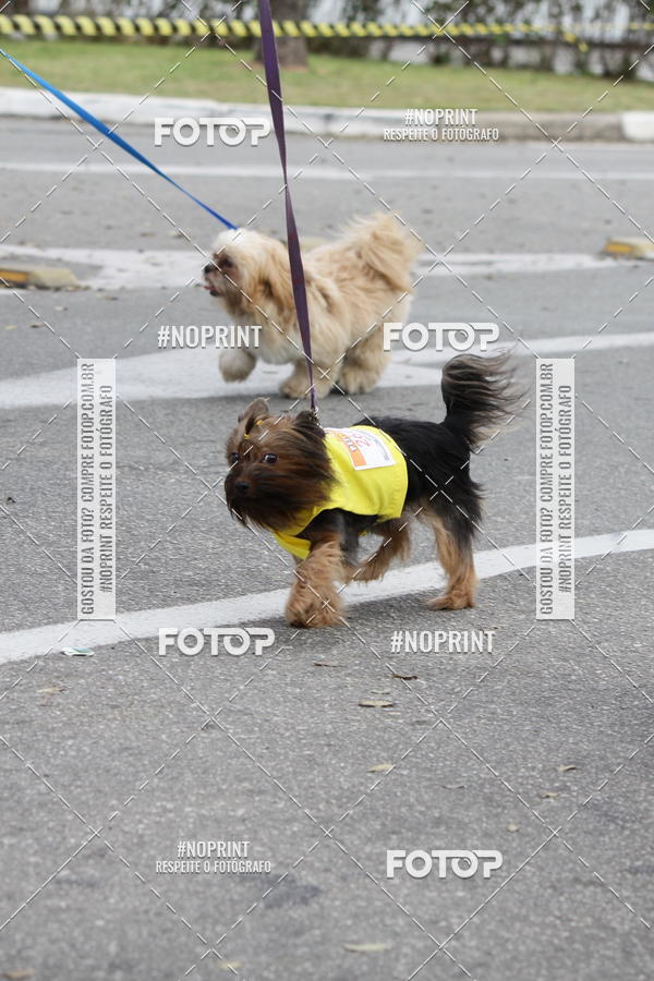 Buy your photos of the eventCorrida Pet Finde on Fotop